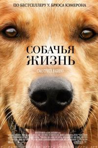 Собачья жизнь 2017 Собачья жизнь 2017