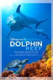 Дельфиний риф / Dolphin Reef