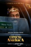 Поездка в Америку 2