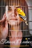 Сериал Птица в клетке