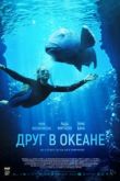 Друг в океане