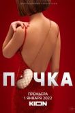 Почка сериал