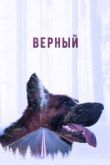 Верный. Фильм