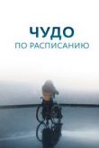 Чудо по расписанию