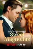 Милые магнолии 3 сезон