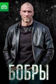 Бобры. Фильм