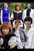 Цвет липы сериал