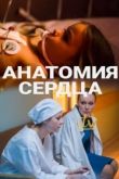 Анатомия сердца