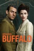 Операция Буффало