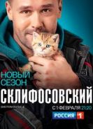Склифосовский 9 сезон