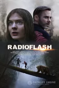 Радиовспышка Радиовспышка