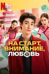 На старт, внимание, любовь