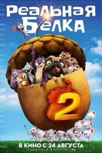 Реальная белка 2 Реальная белка 2