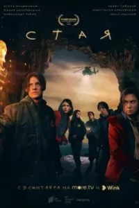 Стая сериал Стая сериал