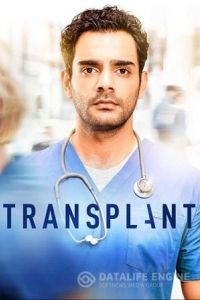 Трансплантация 4 сезон