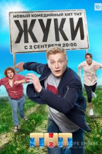 Жуки 2019 Жуки 2019