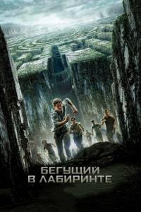 Бегущий в лабиринте 2014 Бегущий в лабиринте 2014