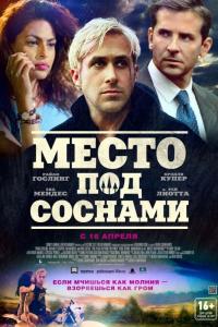 Место под соснами Место под соснами