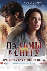 Пальмы в снегу 2015 Пальмы в снегу 2015